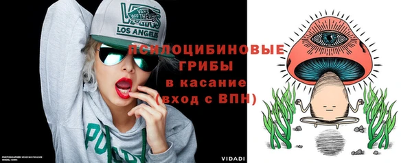 гашик Покровск