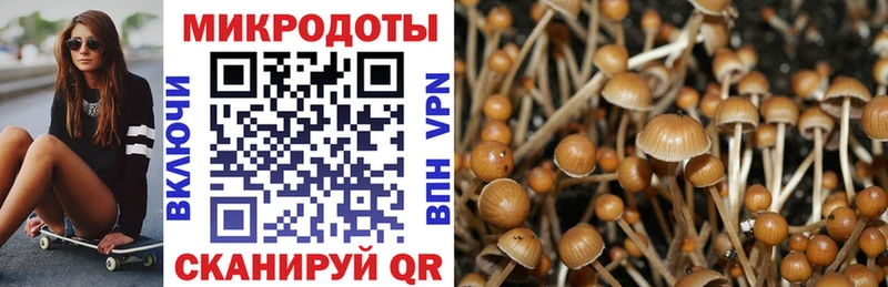 Купить закладки  Фрязино  Галлюциногенные грибы Magic Shrooms 