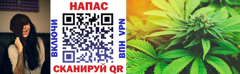 Купить закладки  Фрязино  Бошки Шишки Ganja 
